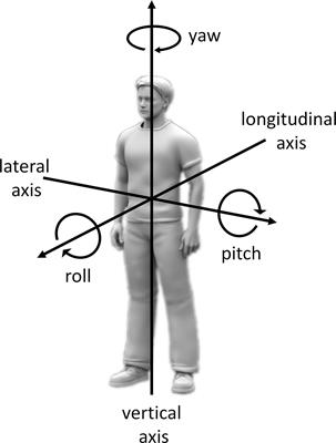 Somatosensory Loss Influences the Adoption of Self-Centered Versus Decentered Perspectives